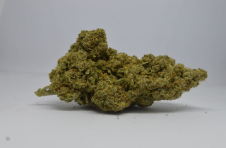 CBD kvety - Watermelon Hydro 5g 